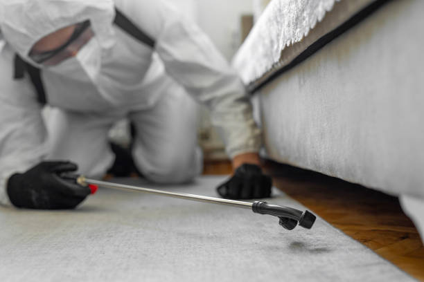 Professional Bed Bug Control technician working in Plain City, UT