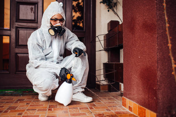 Reliable Bed Bug Control contractor in Plain City, UT by Nex Pest Control